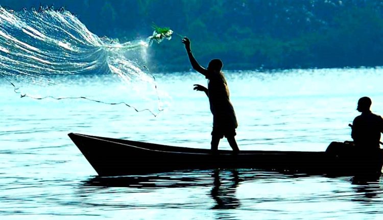 lake victoria fish